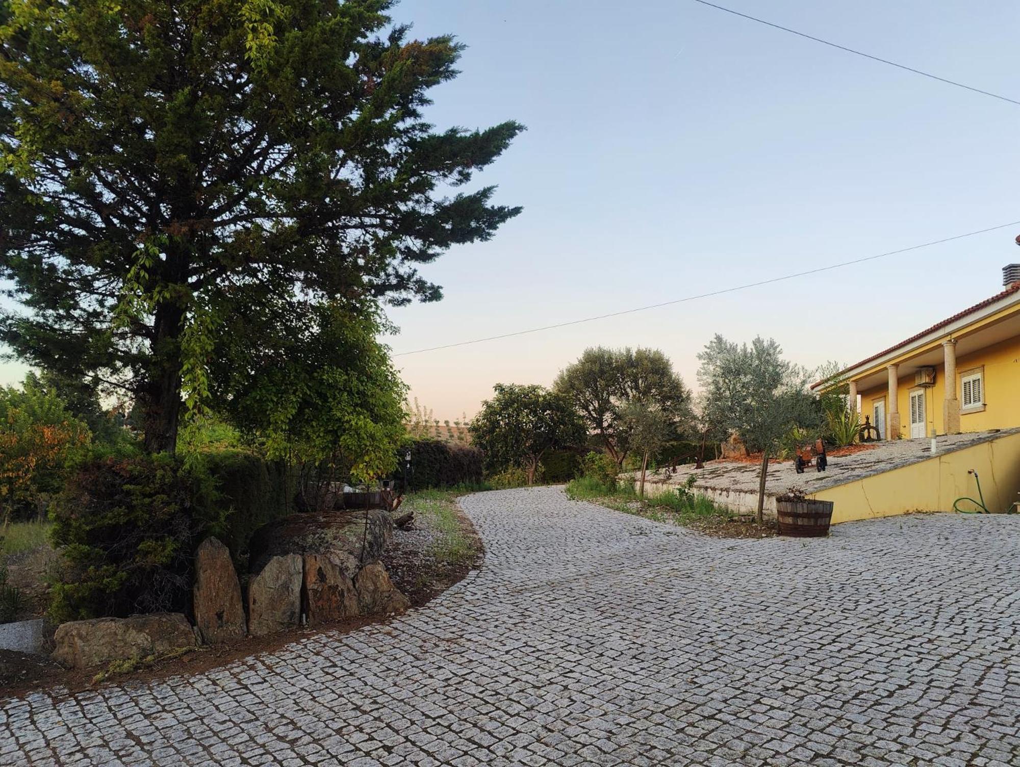 Quinta Da Libelinha Alojamento Local - מירנדלה מראה חיצוני תמונה